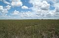 208_USA_Everglades_National_Park