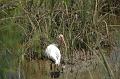 209_USA_Everglades_National_Park