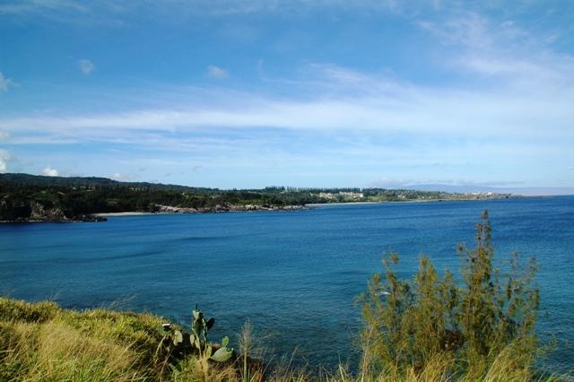 271_USA_Hawaii_Maui_North_Shore_Route_340.JPG