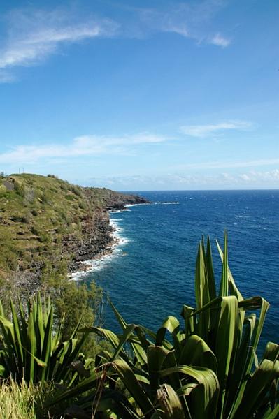 288_USA_Hawaii_Maui_North_Shore_Route_340.JPG