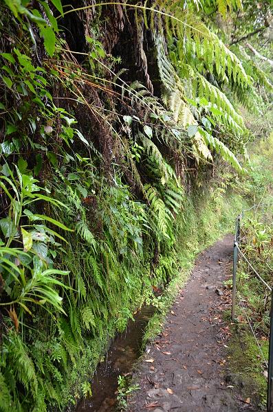 177_Portugal_Madeira.JPG