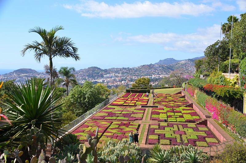 257_Portugal_Madeira_Funchal_Botanical_Garden.JPG