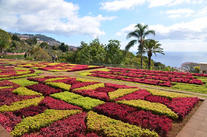 265_Portugal_Madeira_Funchal_Botanical_Garden.JPG