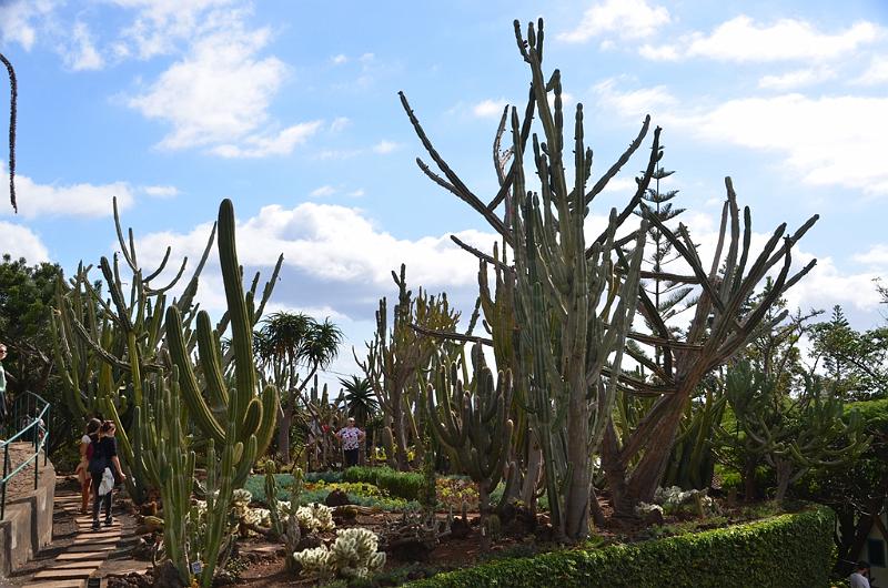 267_Portugal_Madeira_Funchal_Botanical_Garden.JPG