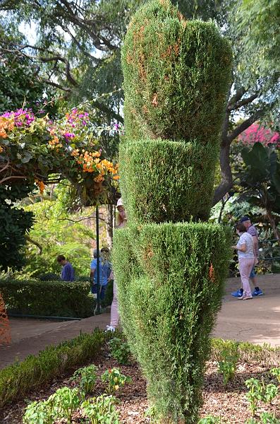 275_Portugal_Madeira_Funchal_Botanical_Garden.JPG