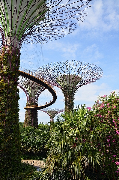 026_Singapore_Gardens_by_the_Bay.JPG
