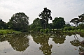 244_Singapore_Japanese_Garden
