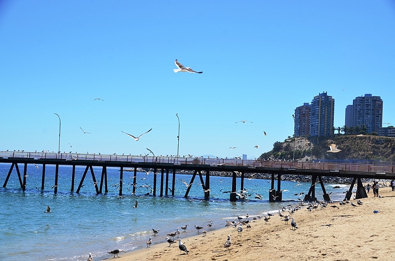 154_Chile_Vina_del_Mar.JPG