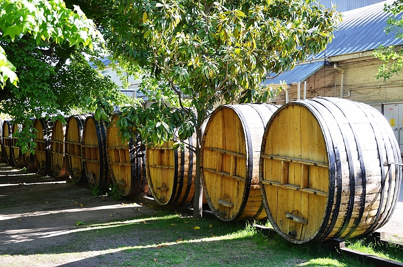 210_Chile_Concha_y_Toro_Winery.JPG