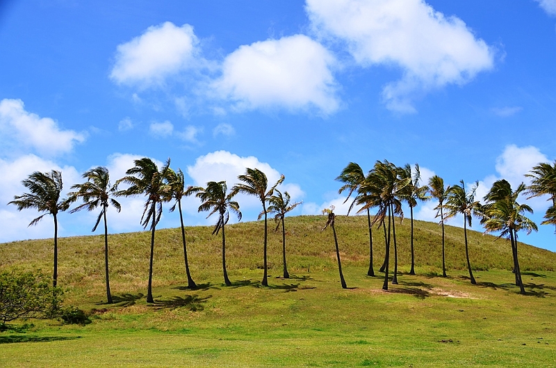 034_Chile_Easter_Island_Anakena.JPG