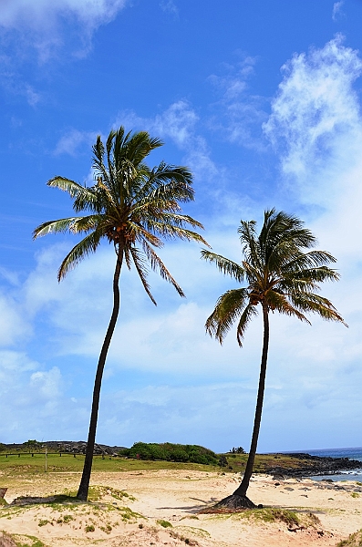 043_Chile_Easter_Island_Anakena.JPG