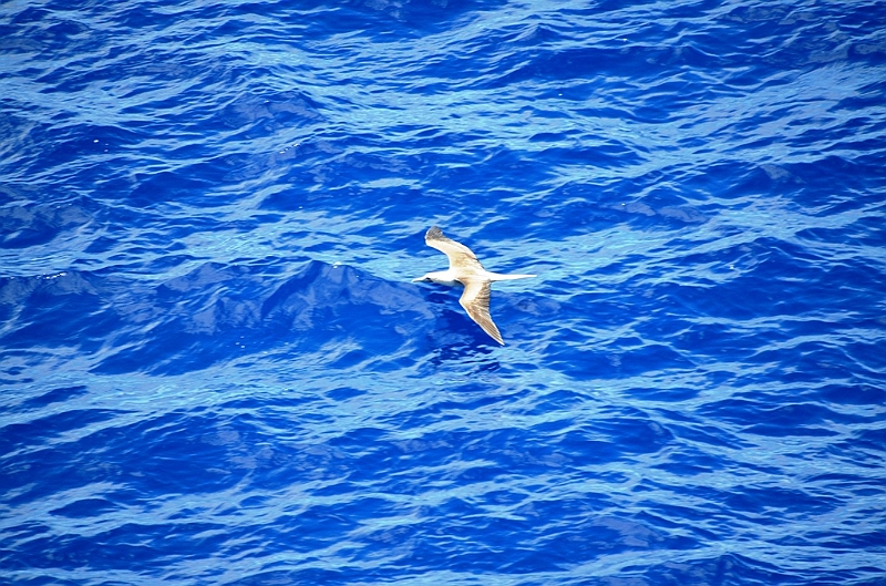 006_French_Polynesia_Fakarava.JPG