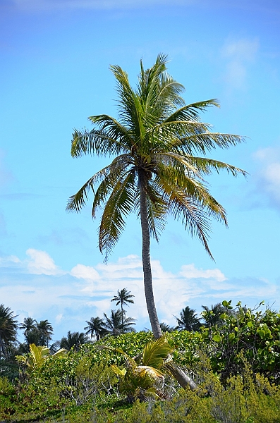 046_French_Polynesia_Fakarava.JPG