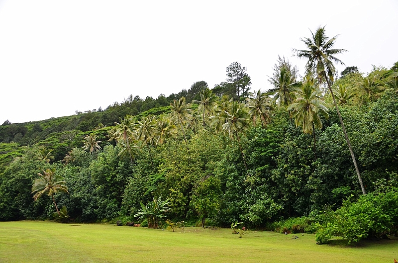 141_French_Polynesia_Gambier_Islands_Aukena.JPG