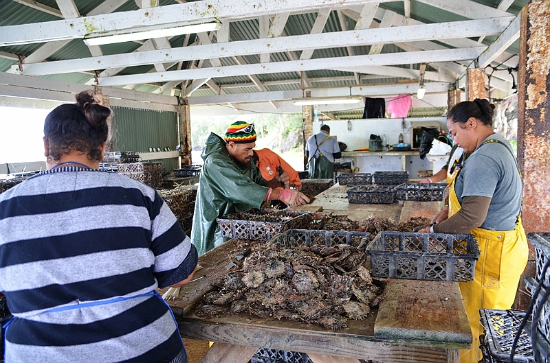 151_French_Polynesia_Gambier_Islands_Aukena_Pearl_Farm.JPG
