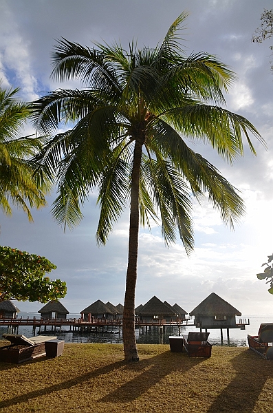 021_Tahiti_Ia_Ora_Beach_Resort.JPG