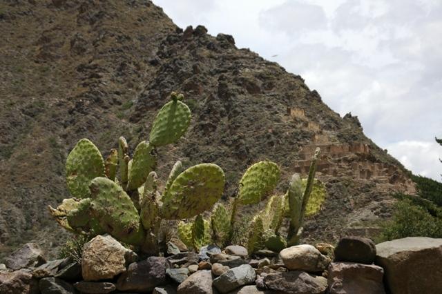 243_Peru_Ollantaytambo.JPG
