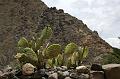 243_Peru_Ollantaytambo