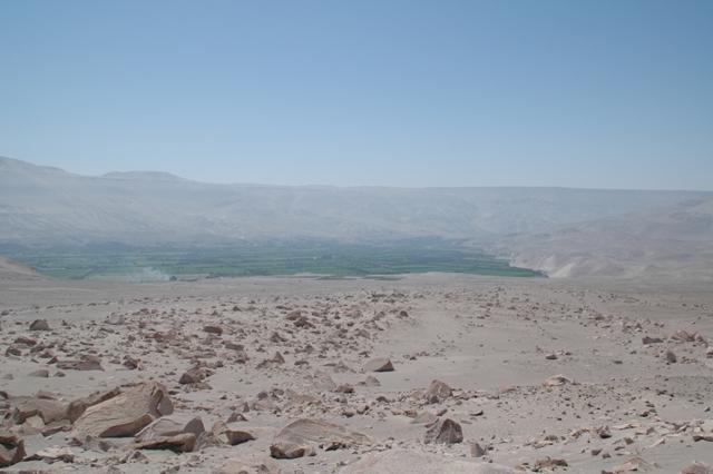 116_Peru_Petroglyphen_in_Toro_Muerto.JPG