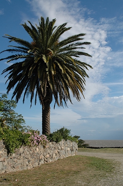 043_Uruguay_Colonia.JPG