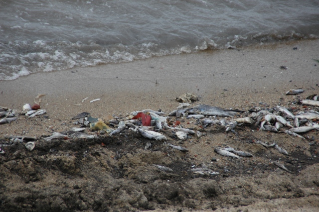 063_Uruguay_Montevideo_Playa_de_Los_Pocitos.JPG