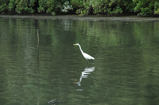 159_Brazil_Paraty_Bahia_de_Paraty.JPG
