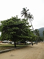 187_Brazil_Ilha_Grande