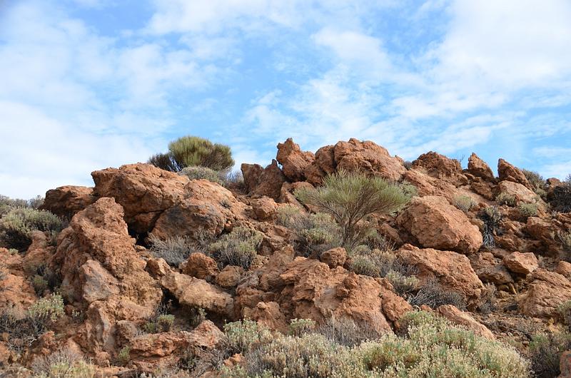 083_Kanaren_Teneriffa_El_Teide_Nationalpark .JPG