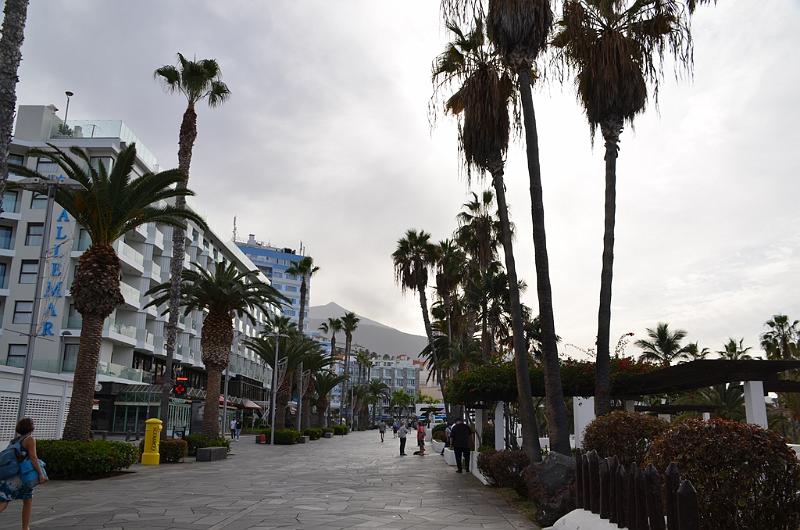 111_Kanaren_Teneriffa_Puerto_de_la_Cruz.JPG