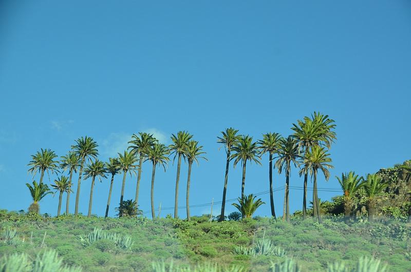 130_Kanaren_La_Gomera.JPG