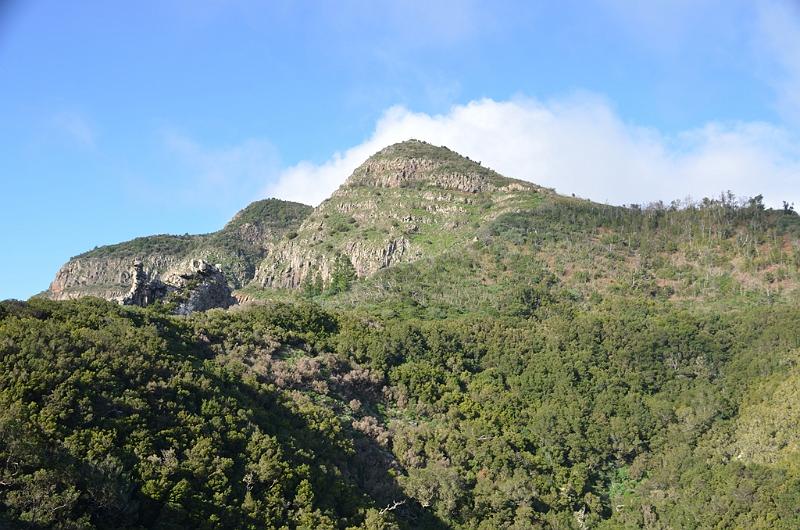 137_Kanaren_La_Gomera_Garajonay_Nationalpark.JPG