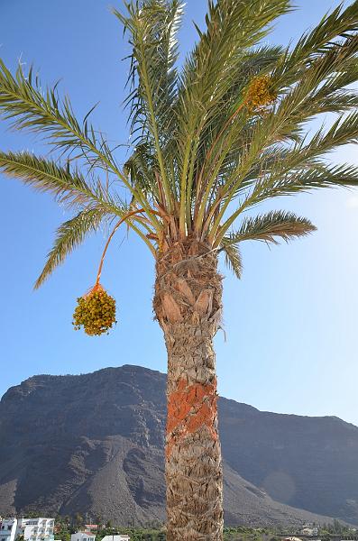156_Kanaren_La_Gomera_Playa_de_la_Calera.JPG