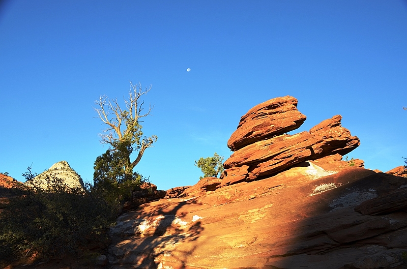 063_USA_Zion_National_Park.JPG