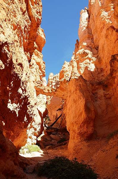 093_USA_Bryce_Canyon_National_Park.JPG