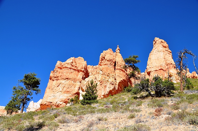 098_USA_Bryce_Canyon_National_Park.JPG