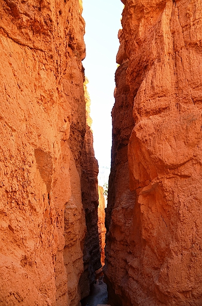 101_USA_Bryce_Canyon_National_Park.JPG