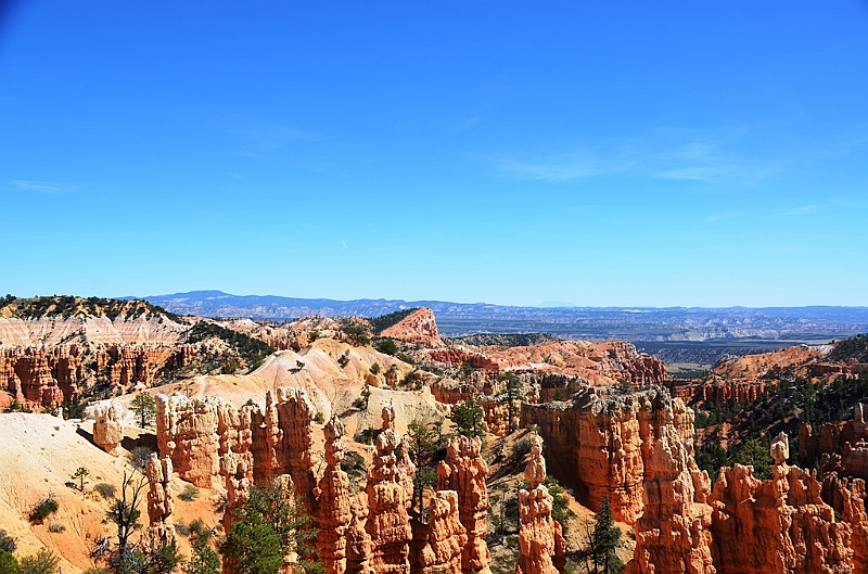 129_USA_Bryce_Canyon_National_Park.JPG