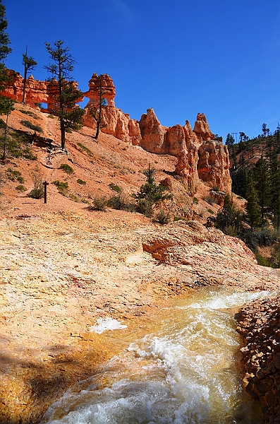 141_USA_Bryce_Canyon_National_Park.JPG