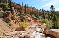 135_USA_Bryce_Canyon_National_Park
