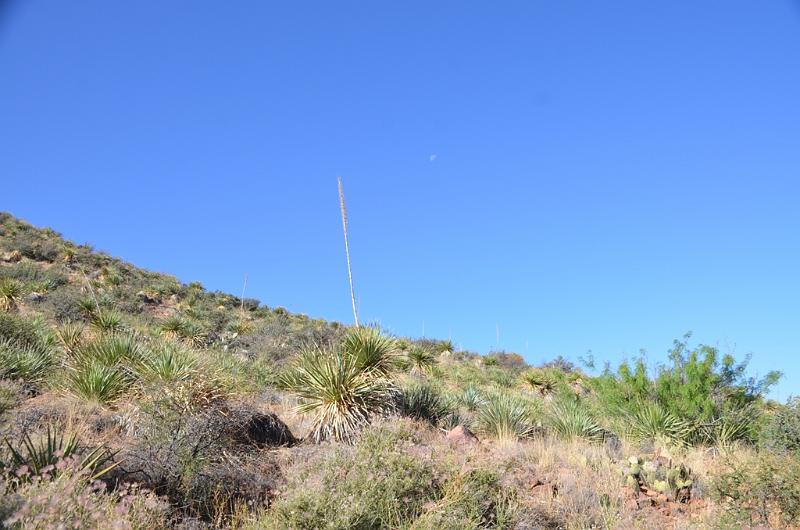 004_Franklin_Mountains_State_Park.JPG