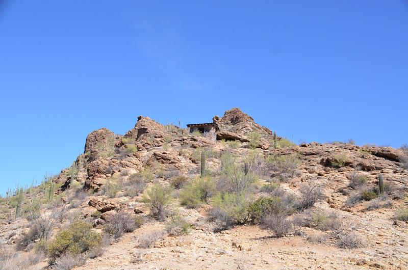 080_Arizona_Tucson_Saguaro_NP02.JPG