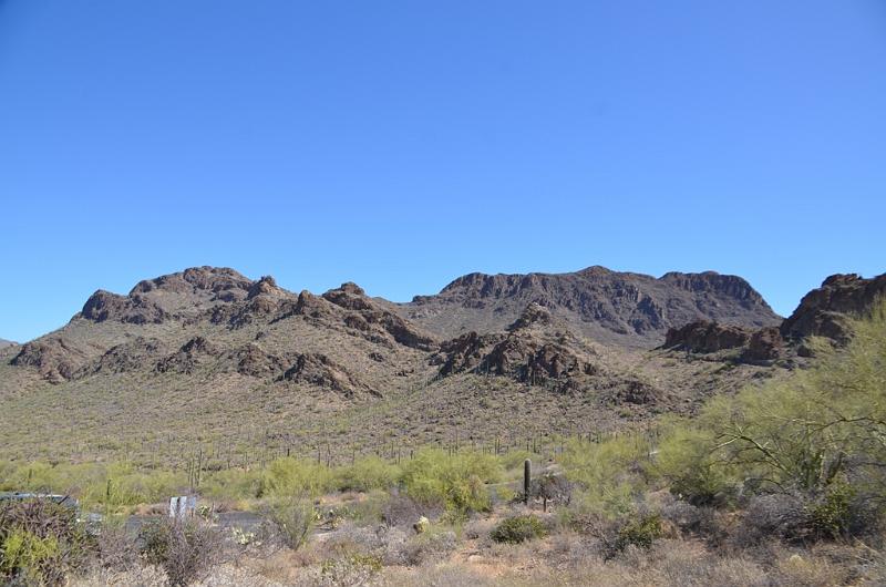 086_Arizona_Tucson_Saguaro_NP08.JPG
