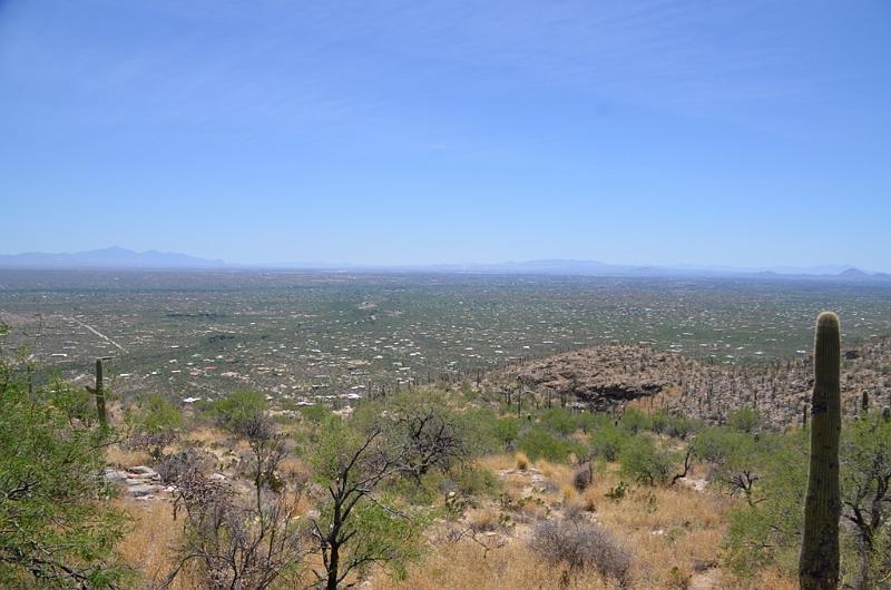 104_Arizona_Tucson_Mt_Lemmon_Highway01.JPG