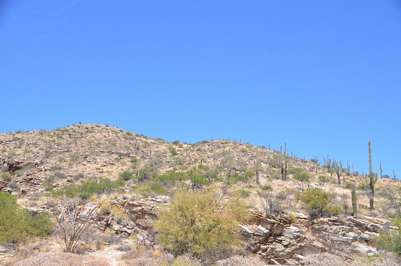 106_Arizona_Tucson_Mt_Lemmon_Highway03.JPG