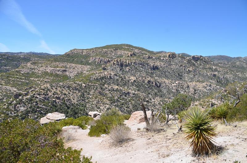 110_Arizona_Tucson_Mt_Lemmon_Highway07.JPG