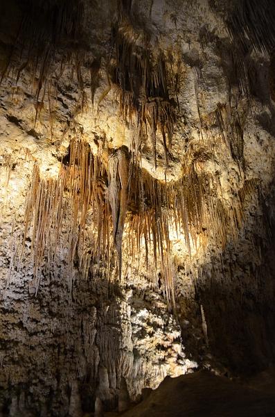 055_USA_Carlsberg_Caverns_NP.JPG