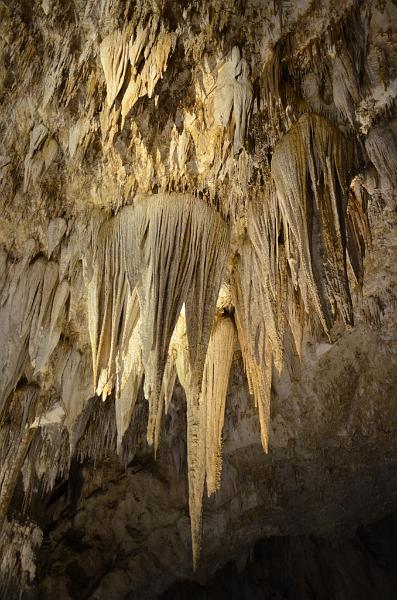 059_USA_Carlsberg_Caverns_NP.JPG