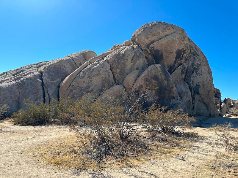 010_USA_Kalifornien­_Joshua_Tree_Nationalpark .JPG