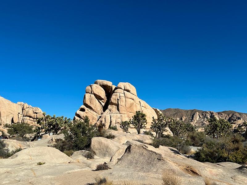 026_USA_Kalifornien­_Joshua_Tree_Nationalpark .JPG