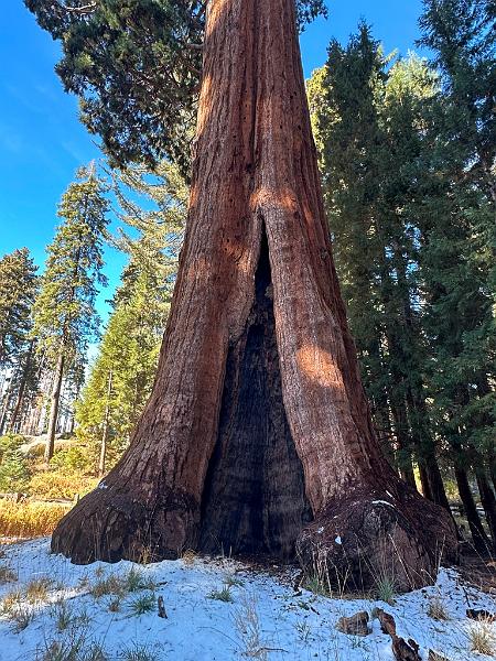 189_USA_Kalifornien_Sequoia_NP.JPG